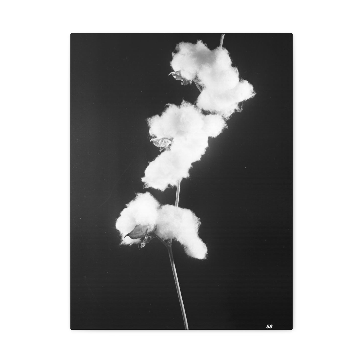 Cotton Matte Canvas, Stretched, 1.25"