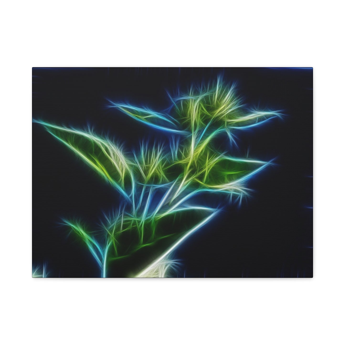 Flowers Matte Canvas, Stretched, 1.25"