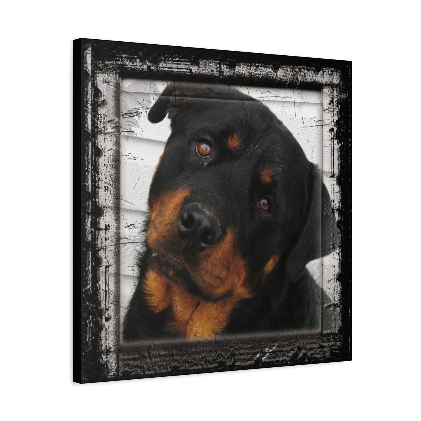 Rotweiller Matte Canvas, Stretched, 1.25"