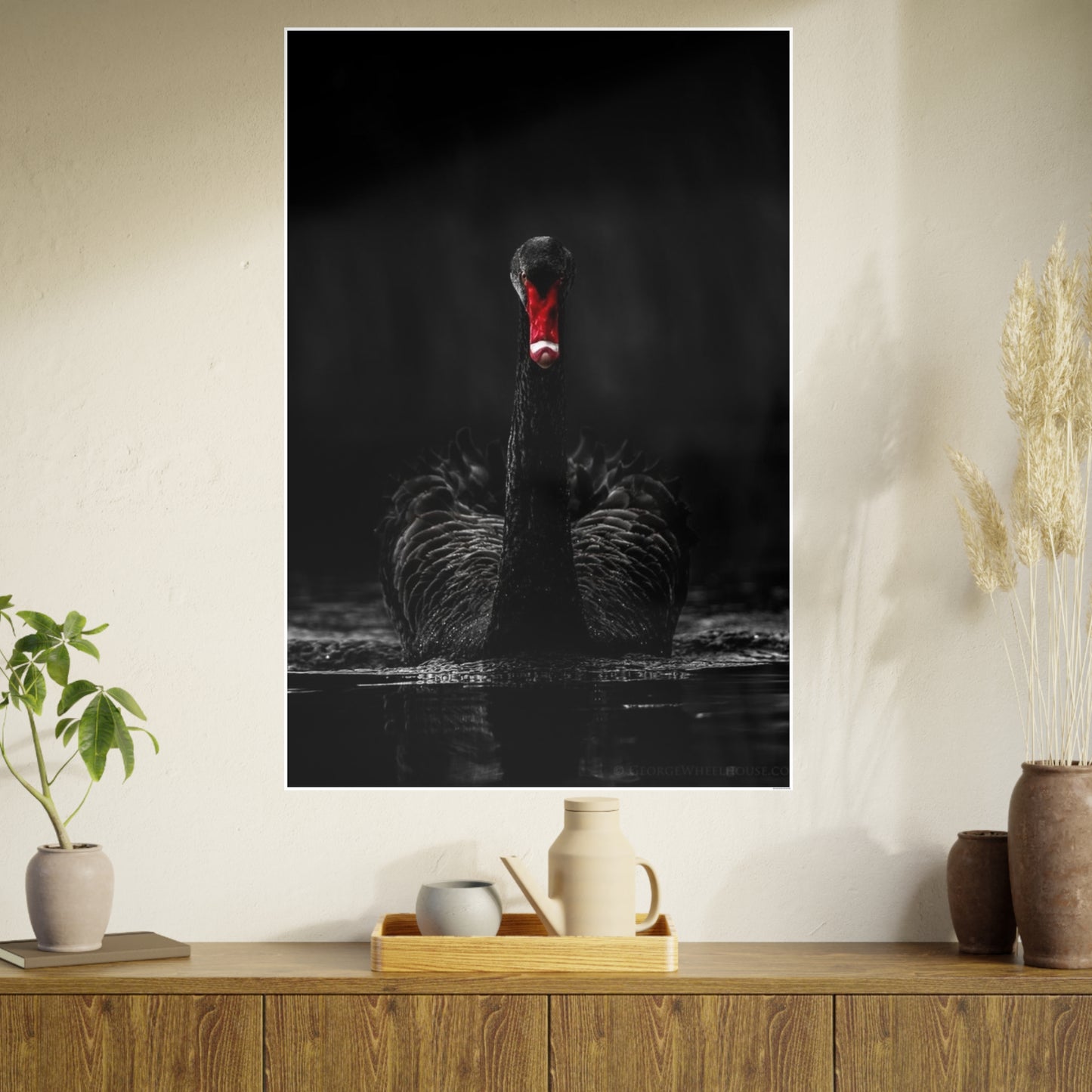 Black Swan Photo Art Paper Posters
