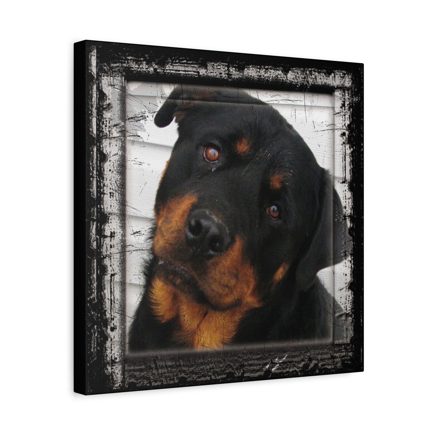 Rotweiller Matte Canvas, Stretched, 1.25"