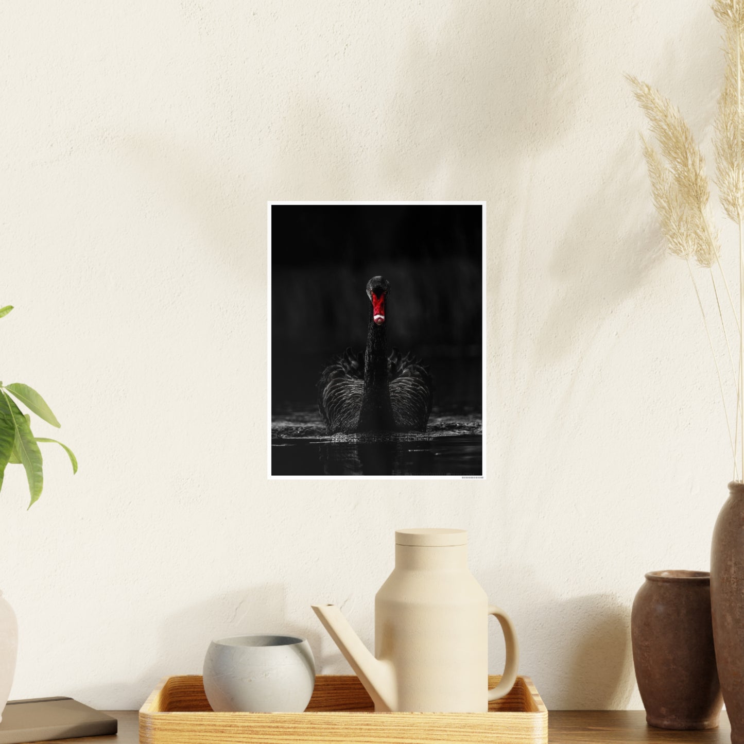 Black Swan Photo Art Paper Posters