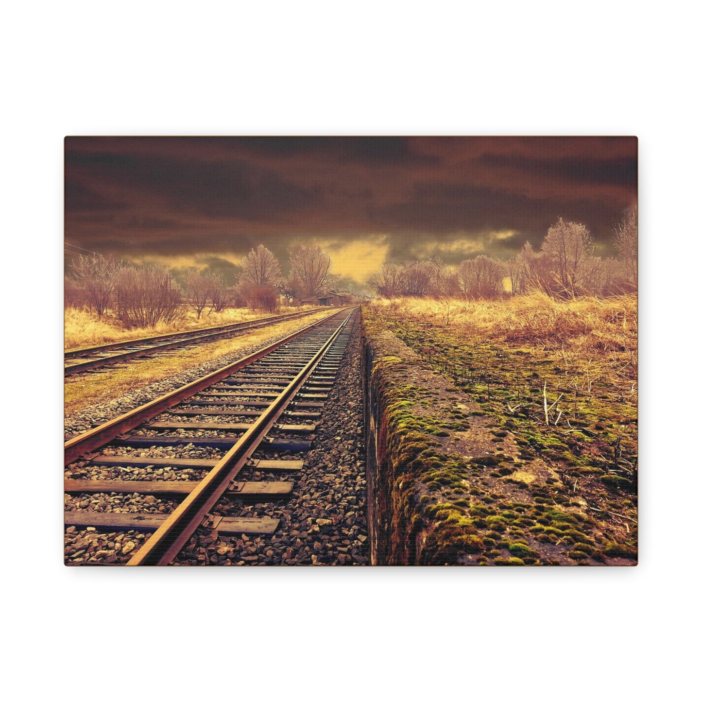 Tracks Matte Canvas, Stretched, 1.25"