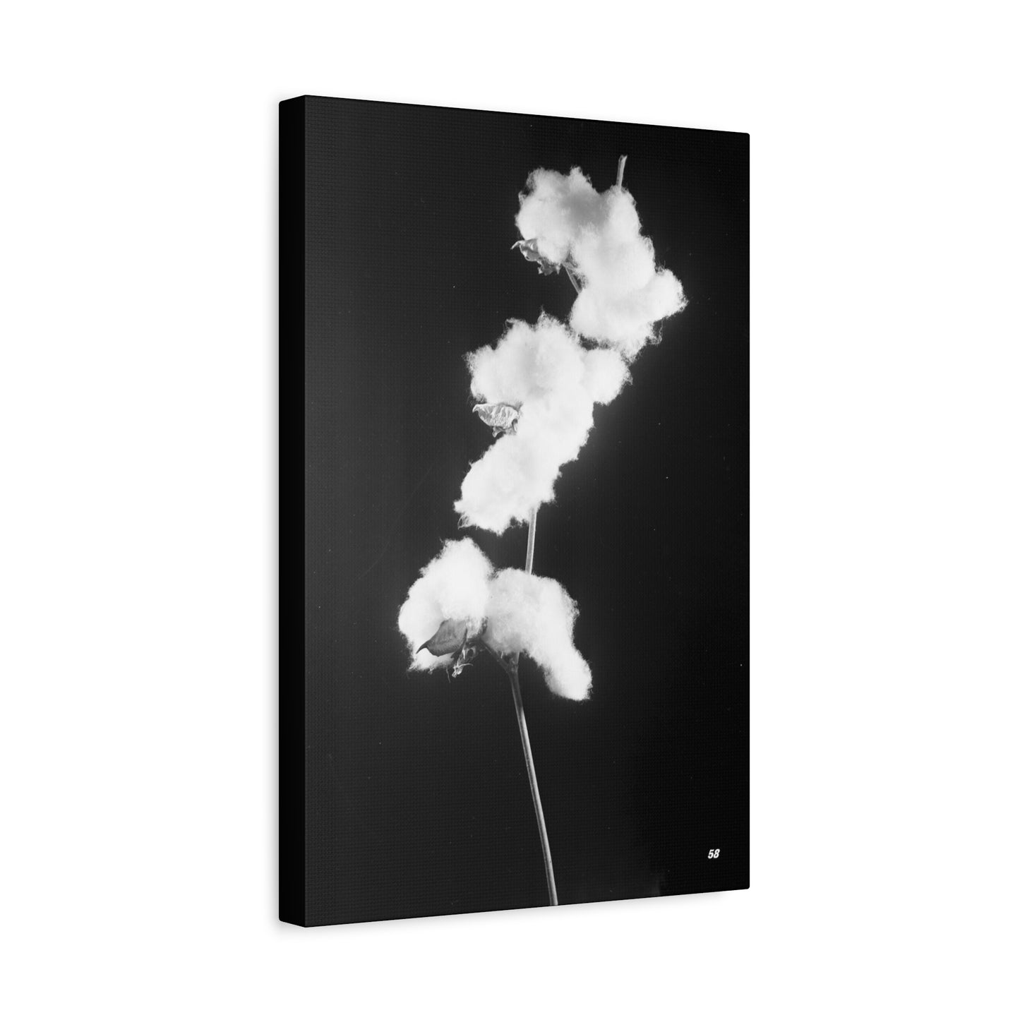 Cotton Matte Canvas, Stretched, 1.25"