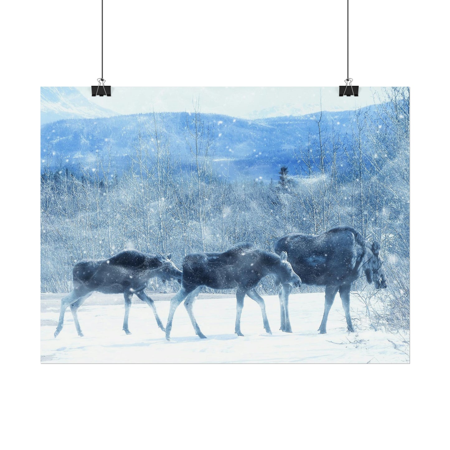 Moose Rolled Posters