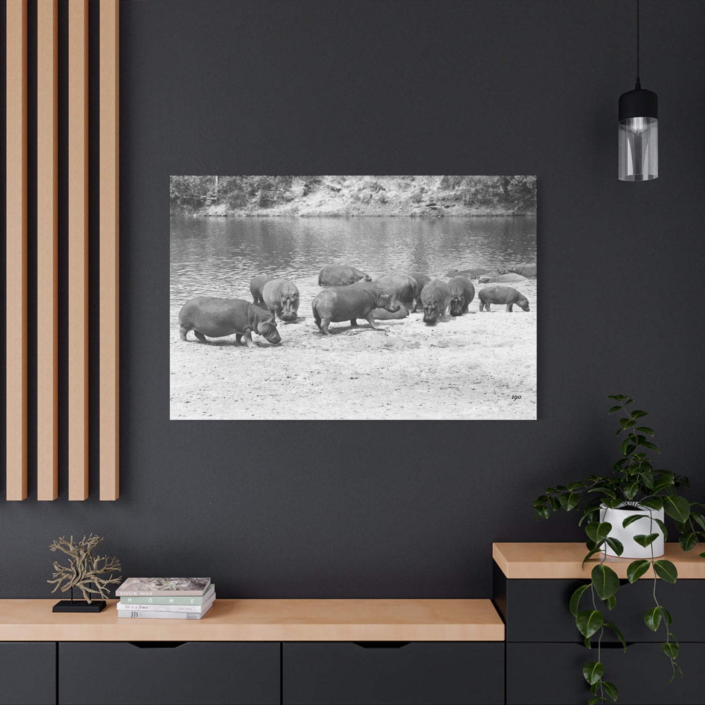 Hippopotamus Matte Canvas, Stretched, 1.25"