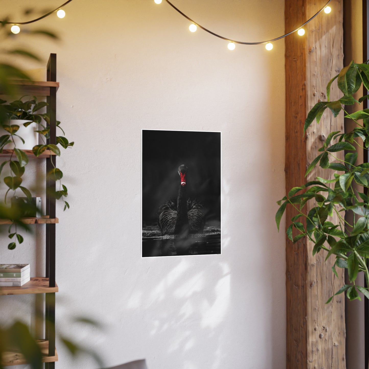 Black Swan Photo Art Paper Posters