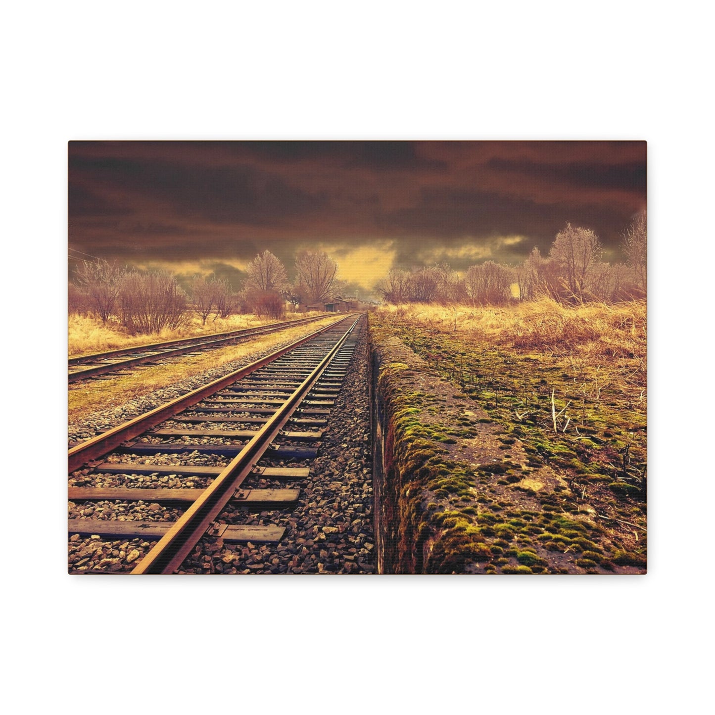 Tracks Matte Canvas, Stretched, 1.25"