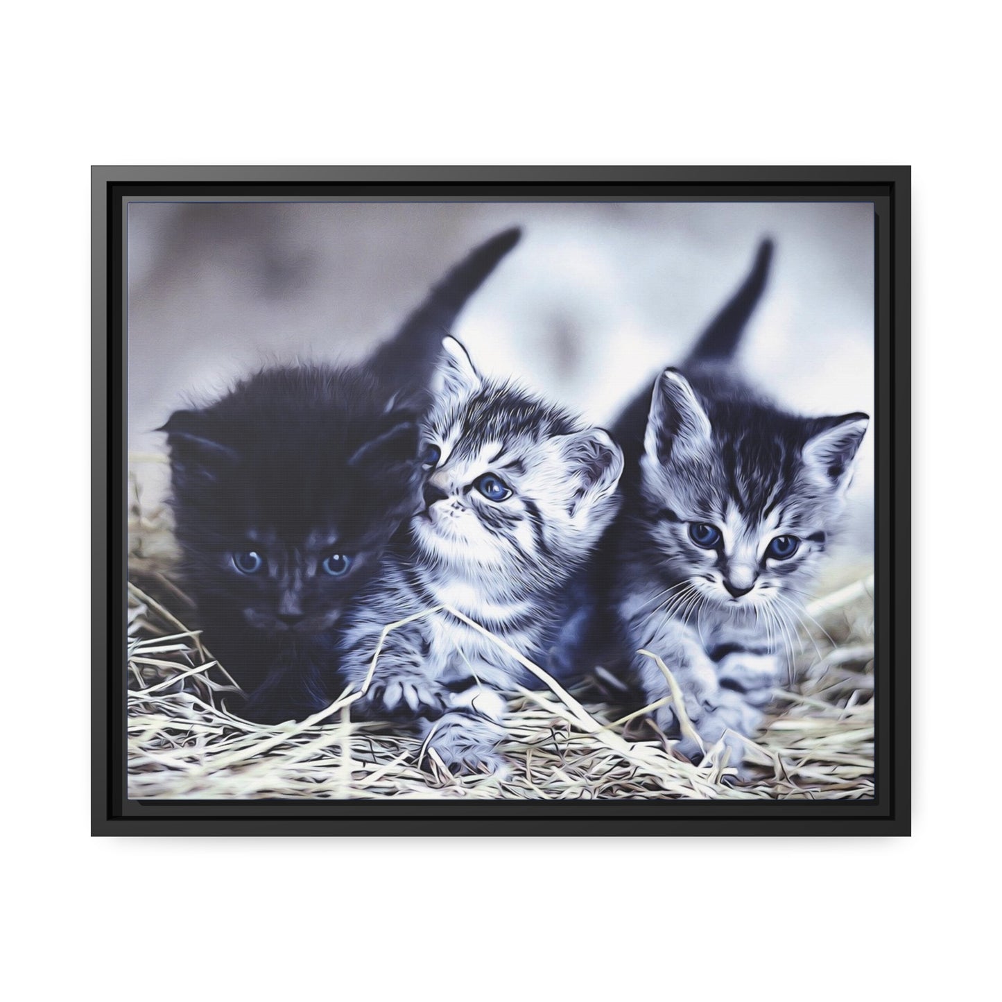 Kitten Matte Canvas, Black Frame