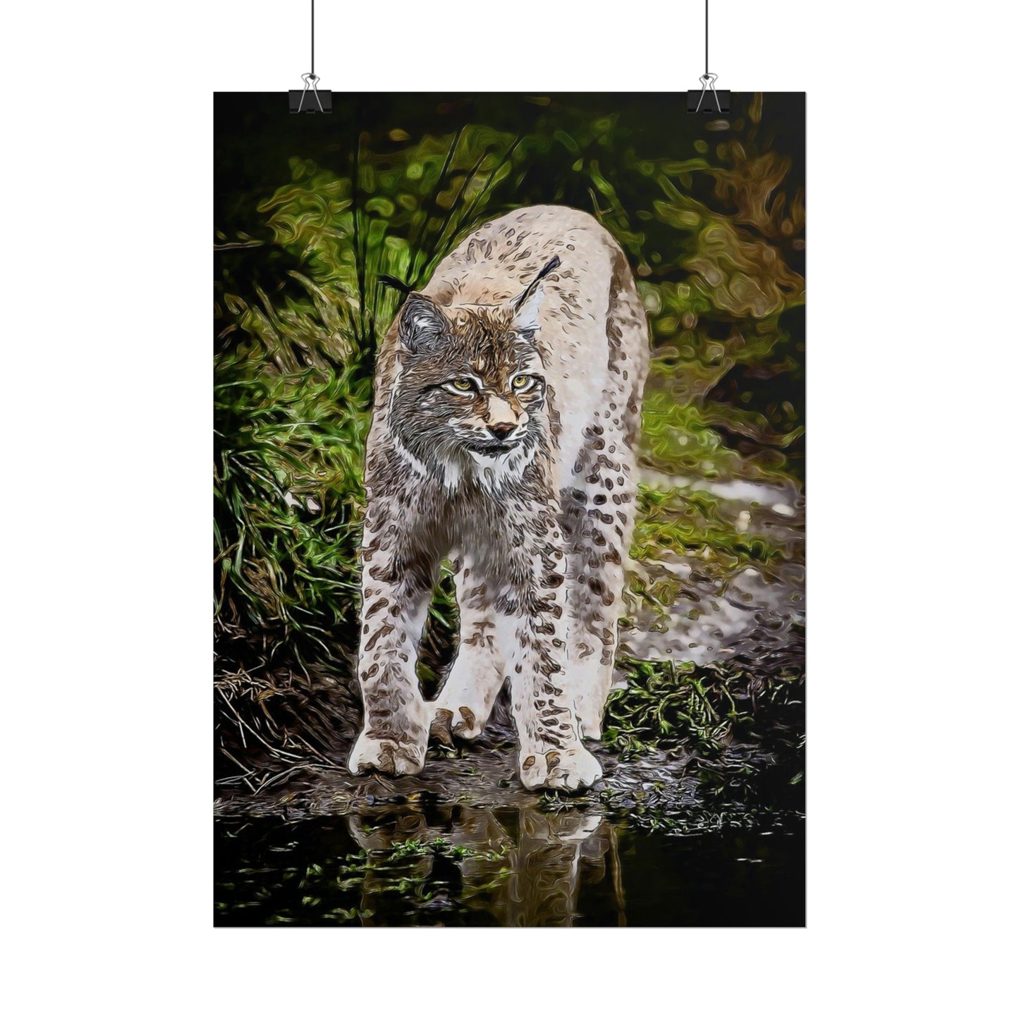 Bobcat Rolled Posters