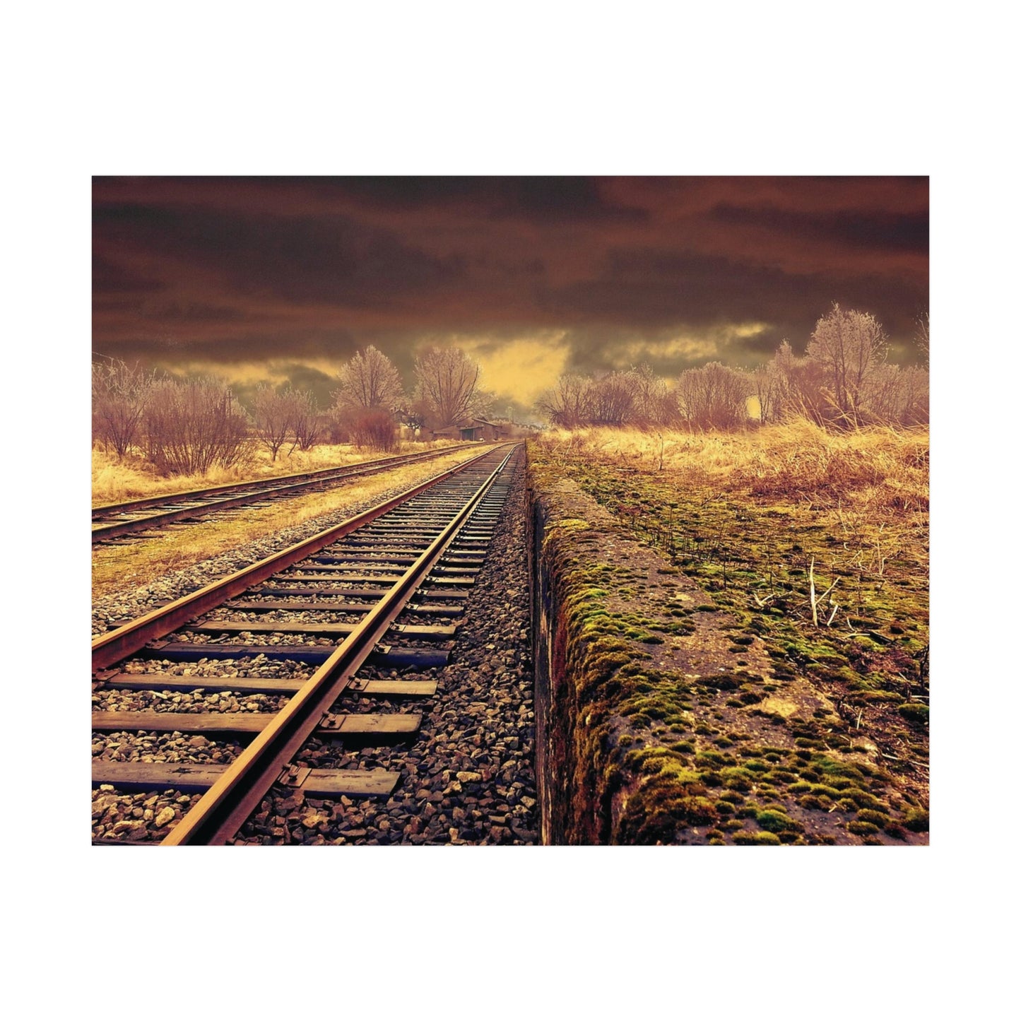 Tracks Rolled Posters