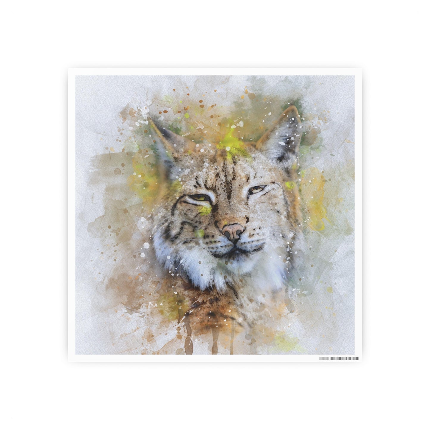 Bobcat Photo Art Paper Posters