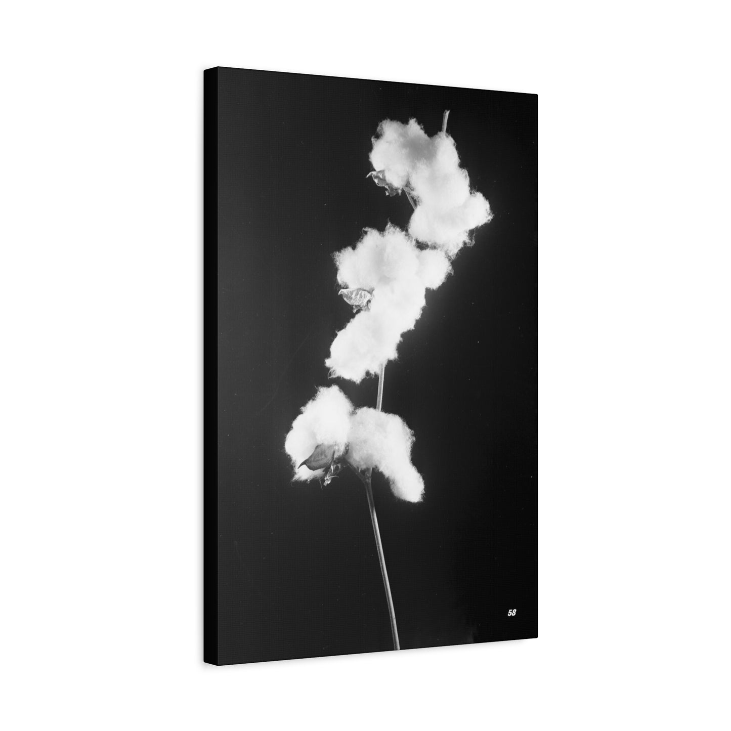Cotton Matte Canvas, Stretched, 1.25"