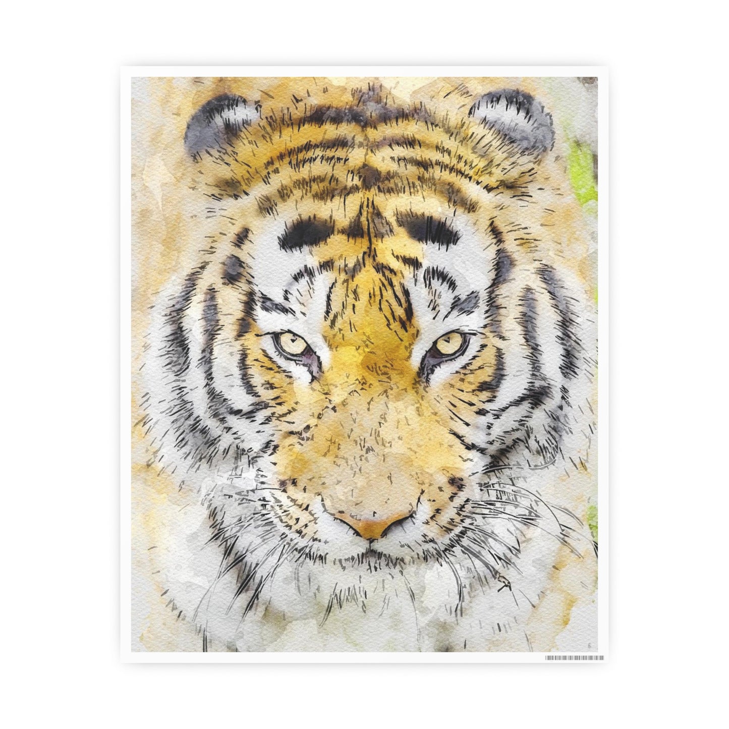 Tiger Photo Art Paper Posters