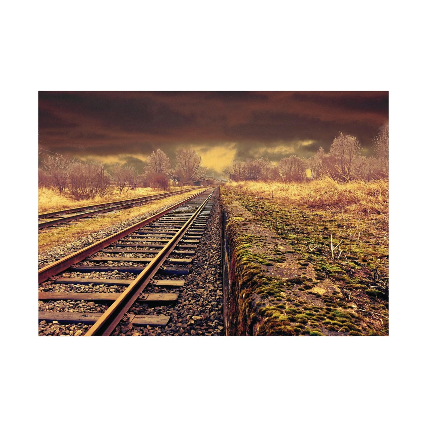 Tracks Rolled Posters