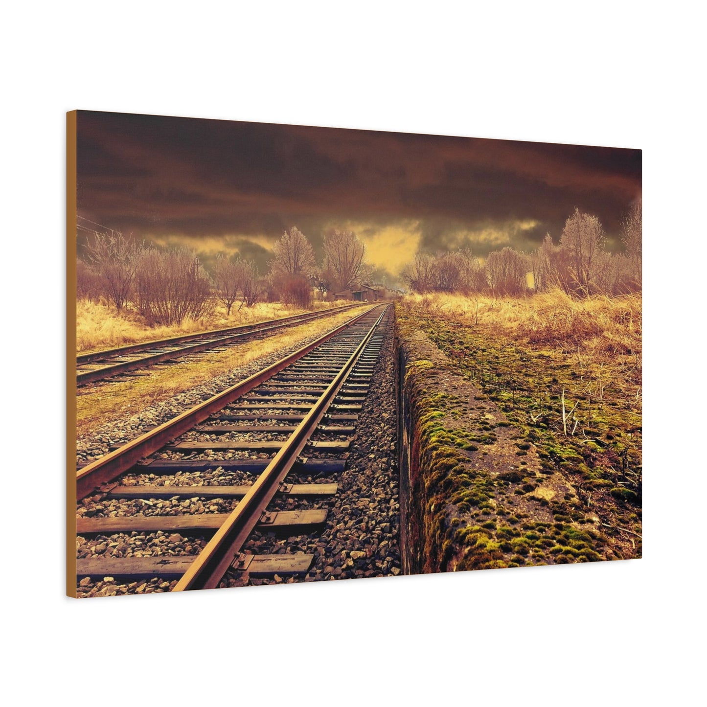 Tracks Matte Canvas, Stretched, 1.25"