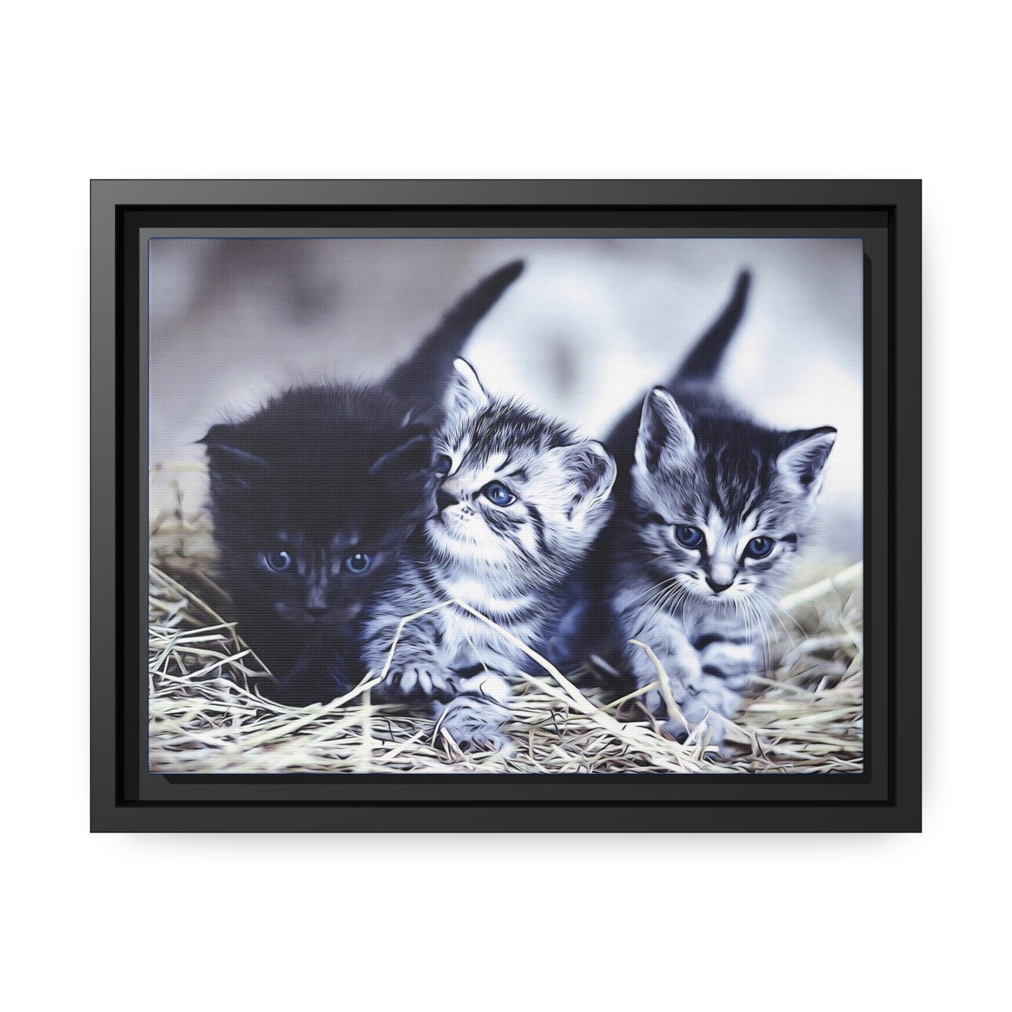 Kitten Matte Canvas, Black Frame