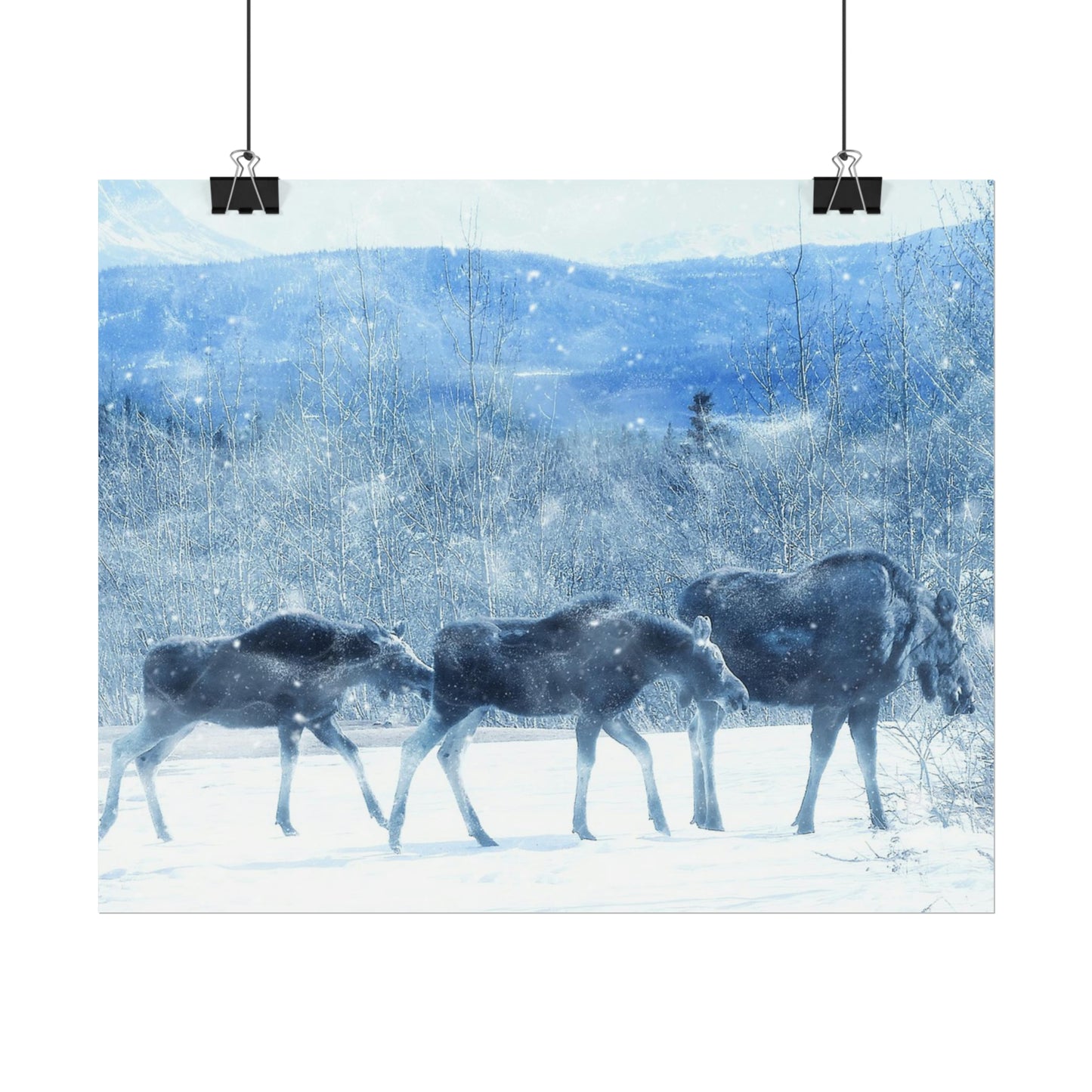 Moose Rolled Posters