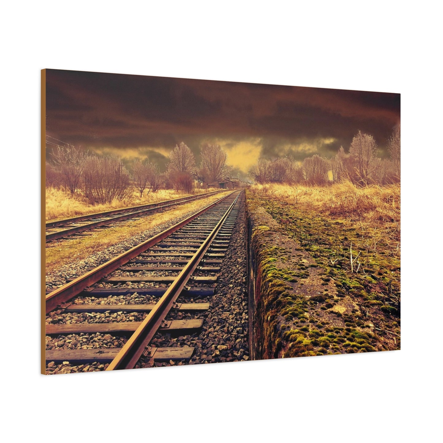 Tracks Matte Canvas, Stretched, 1.25"