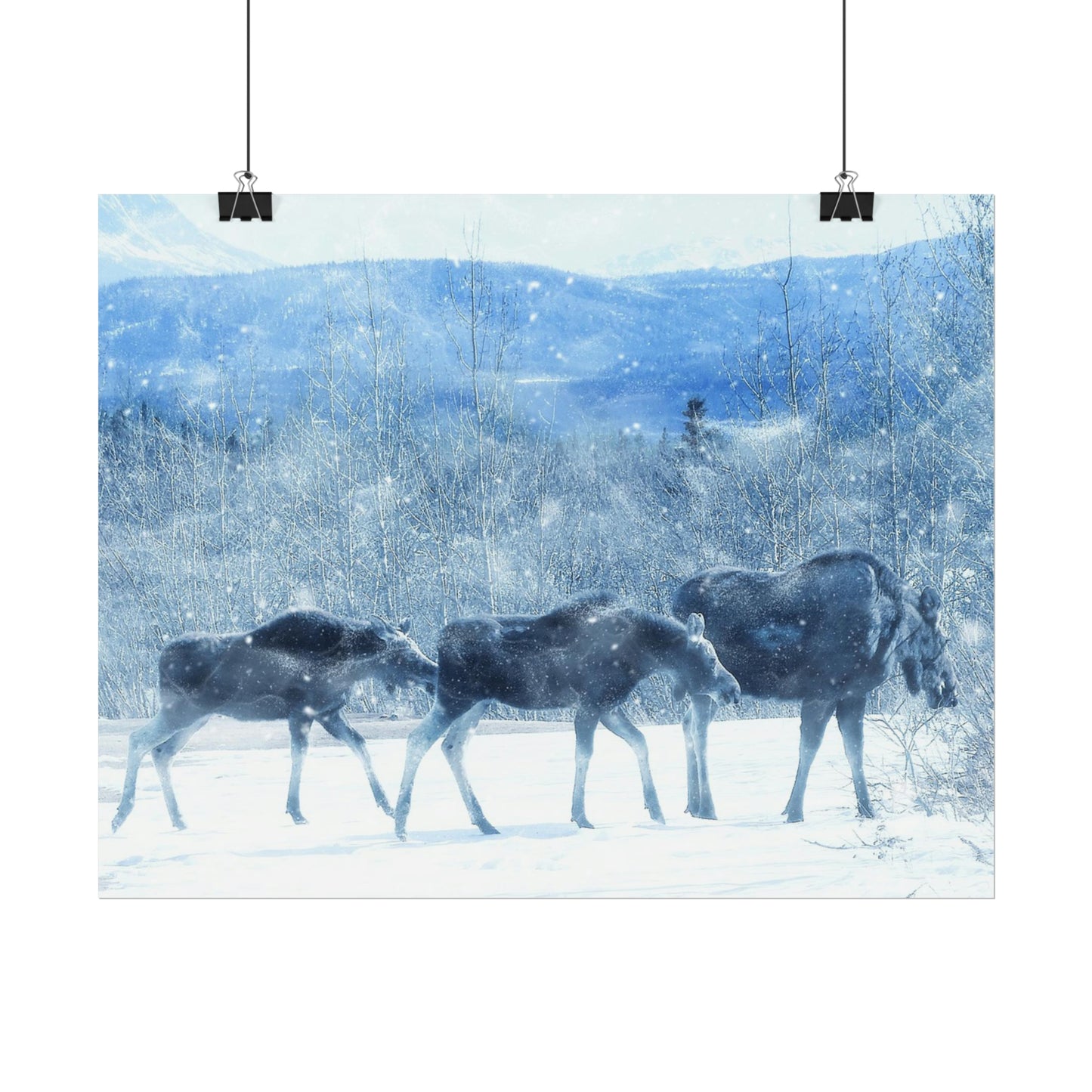 Moose Rolled Posters