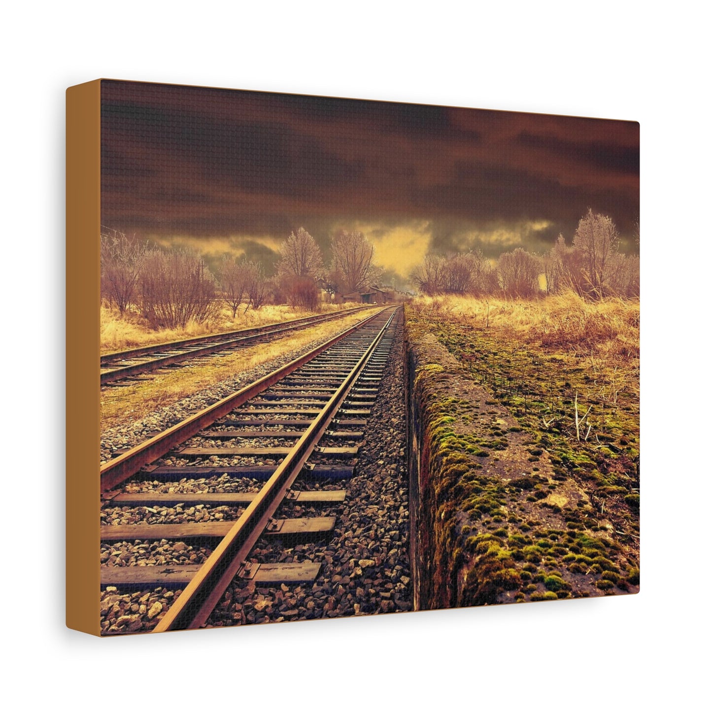 Tracks Matte Canvas, Stretched, 1.25"