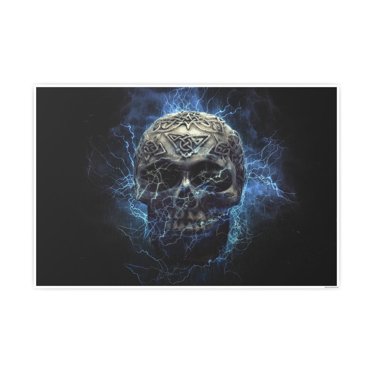 Skull Photo Art Paper Posters