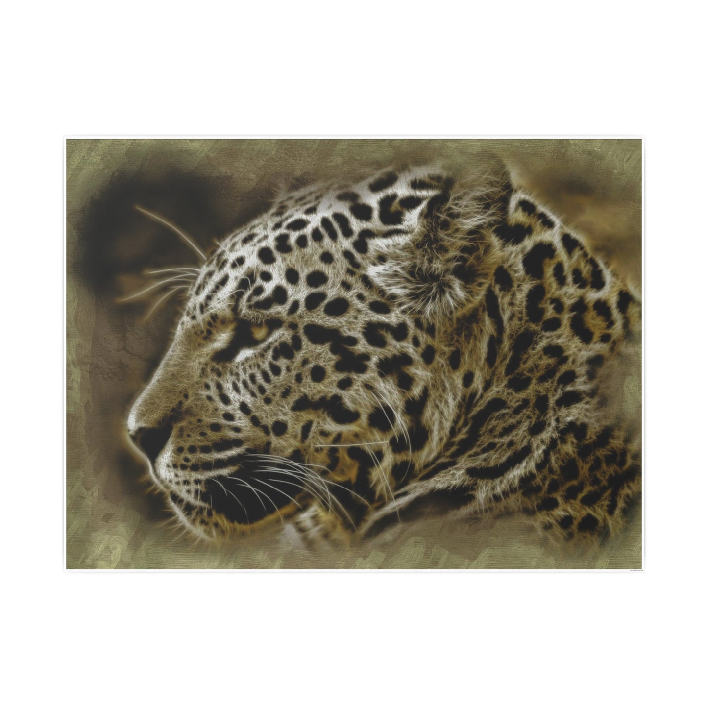 Jaguar Photo Art Paper Posters