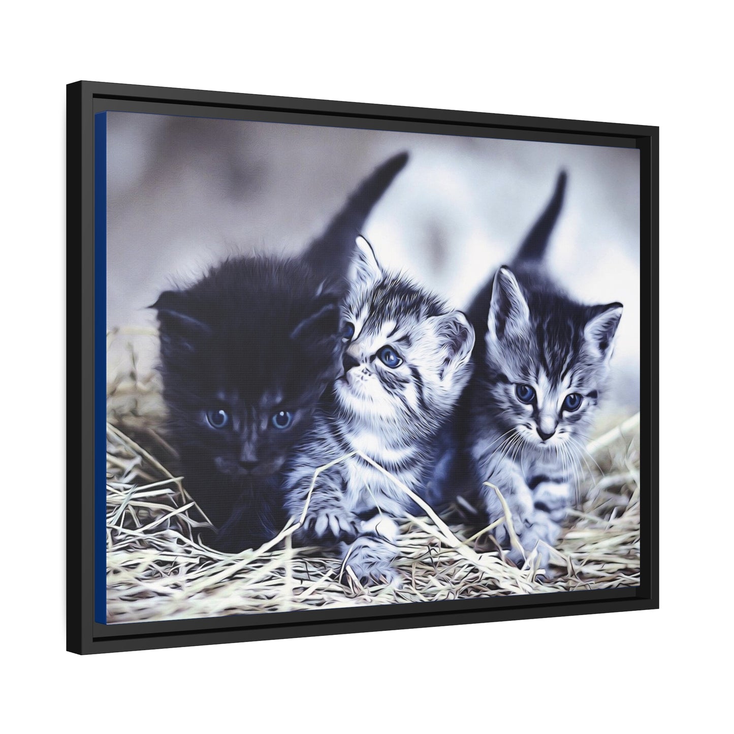 Kitten Matte Canvas, Black Frame