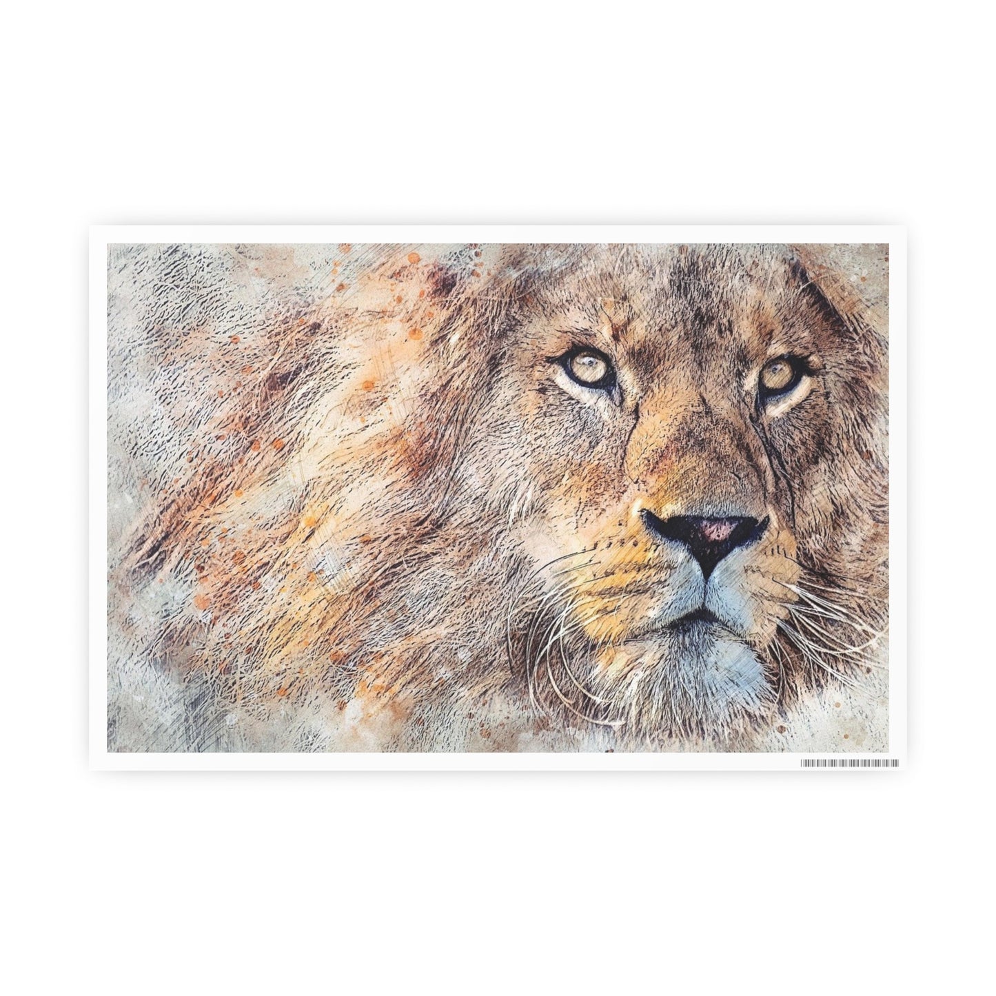 Lion Photo Art Paper Posters
