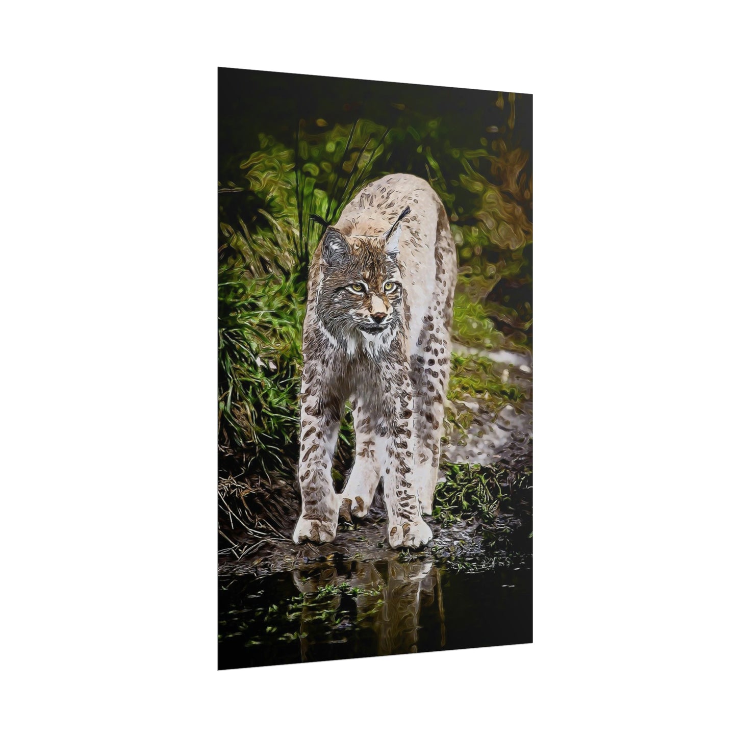 Bobcat Rolled Posters