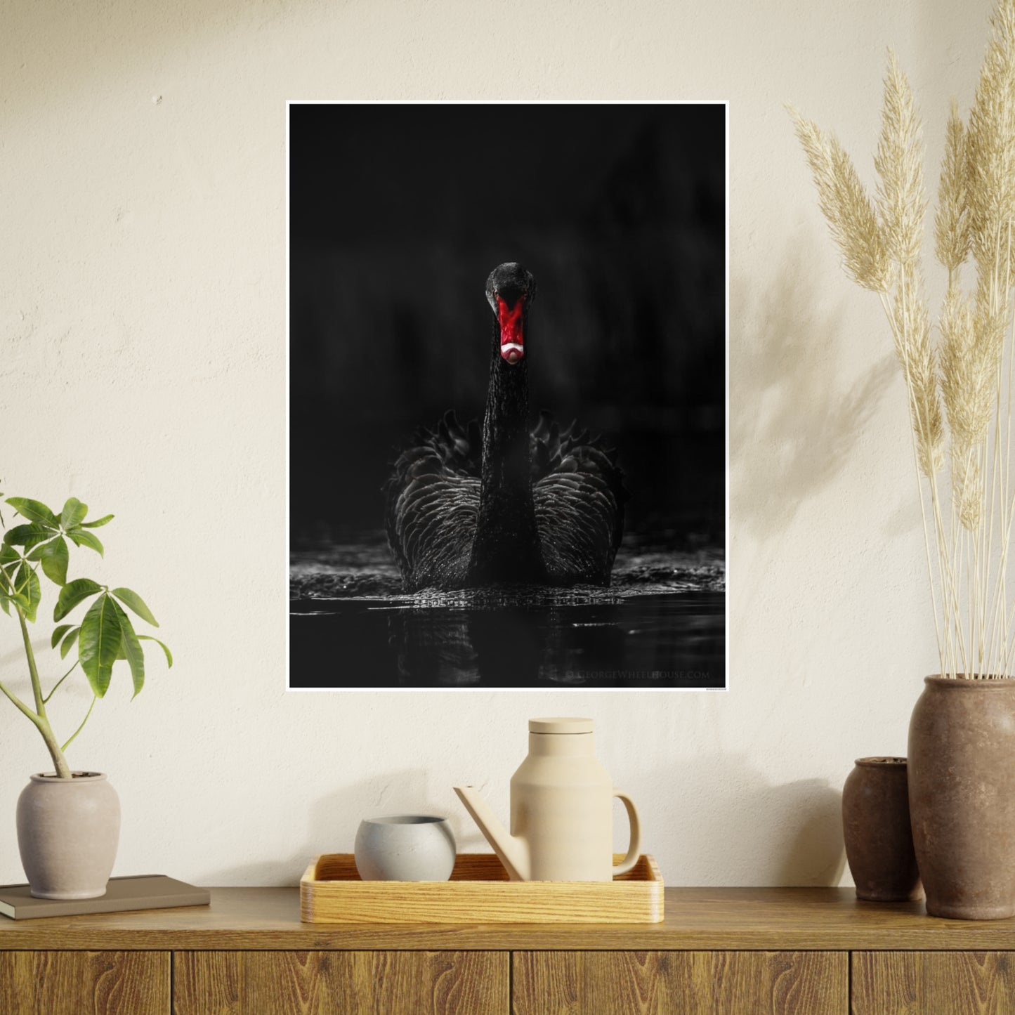 Black Swan Photo Art Paper Posters