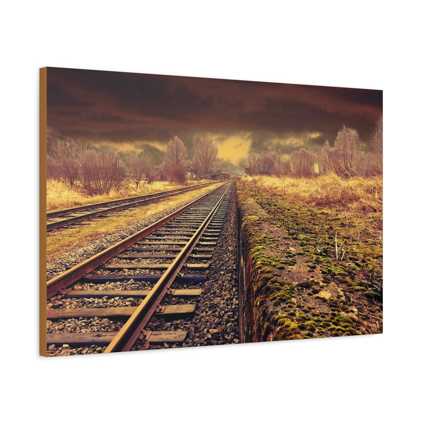 Tracks Matte Canvas, Stretched, 1.25"