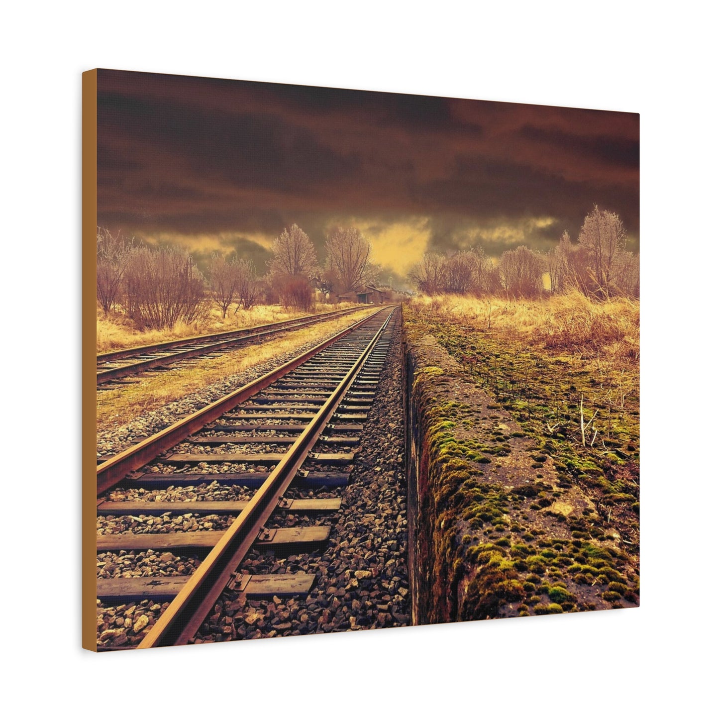 Tracks Matte Canvas, Stretched, 1.25"