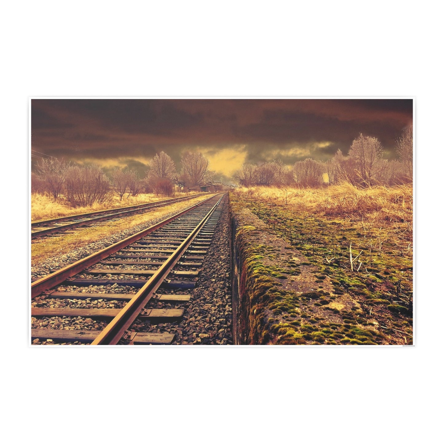 Tracks Photo Art Paper Posters