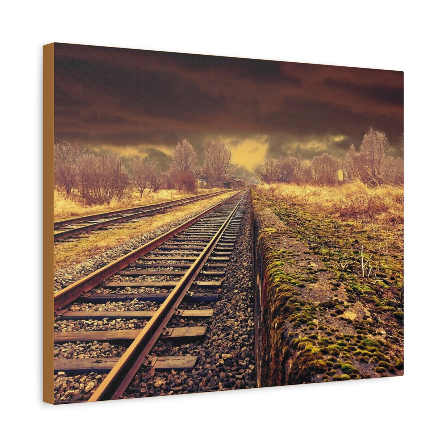 Tracks Matte Canvas, Stretched, 1.25"