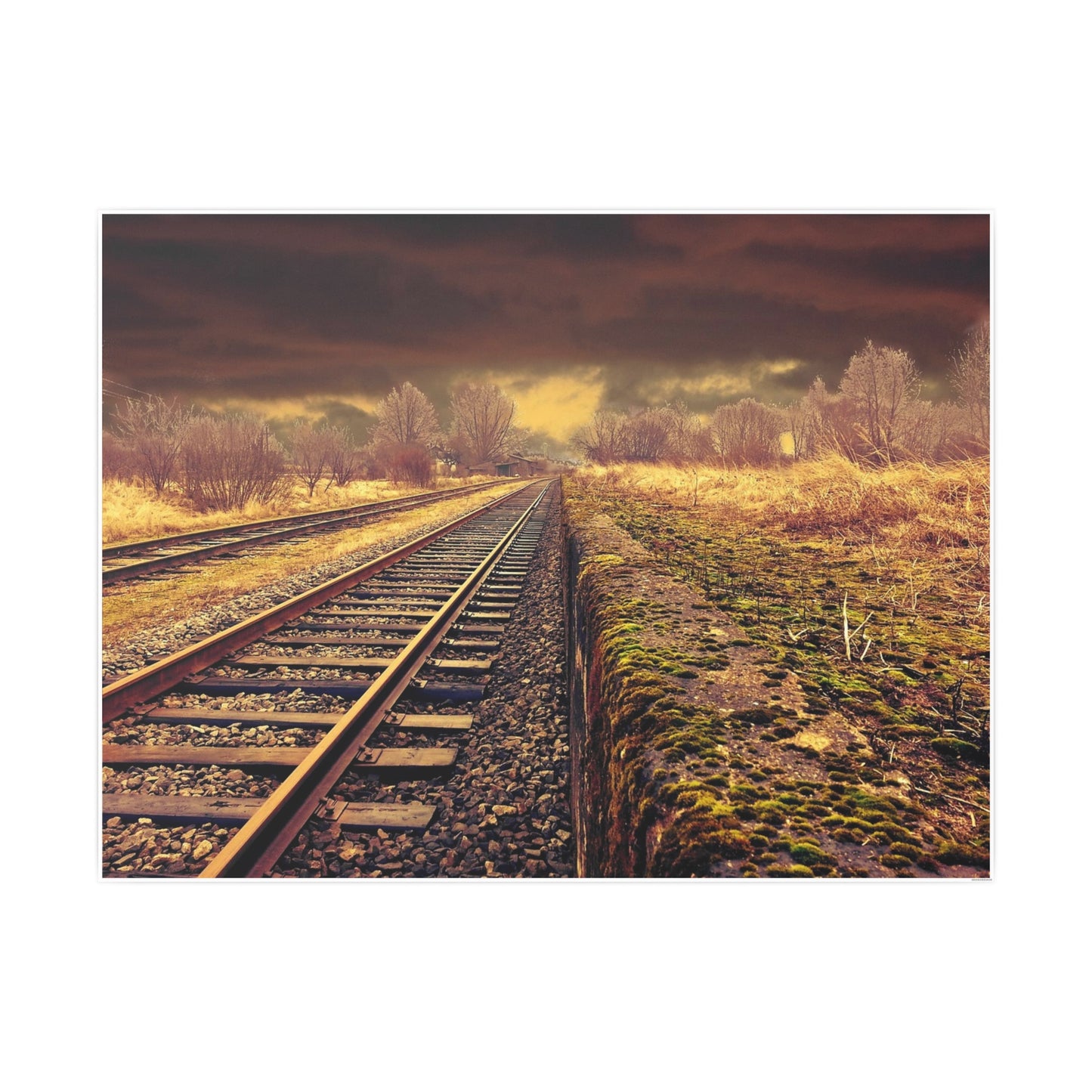 Tracks Photo Art Paper Posters