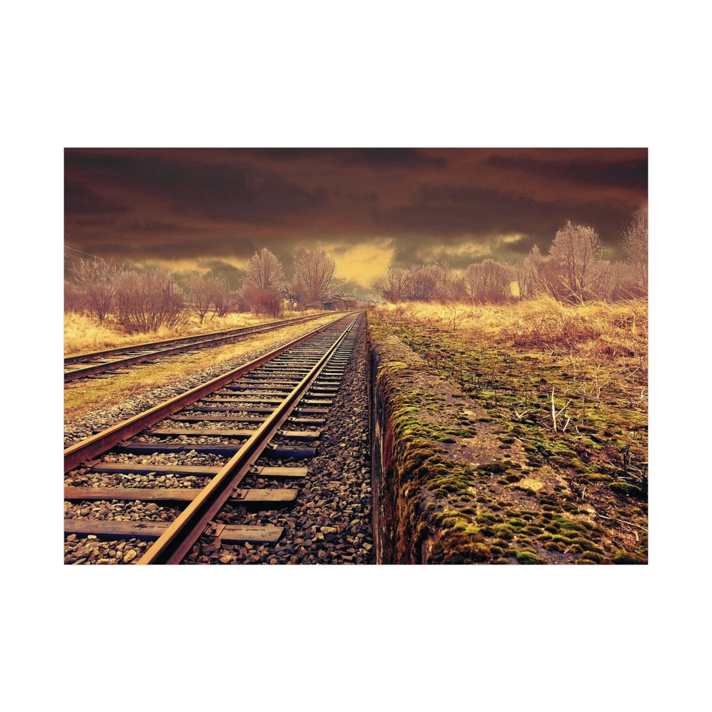 Tracks Rolled Posters