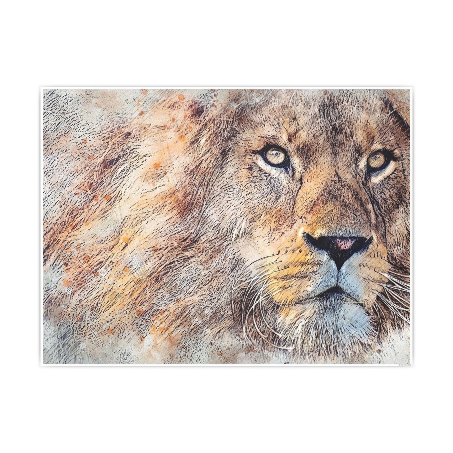 Lion Photo Art Paper Posters