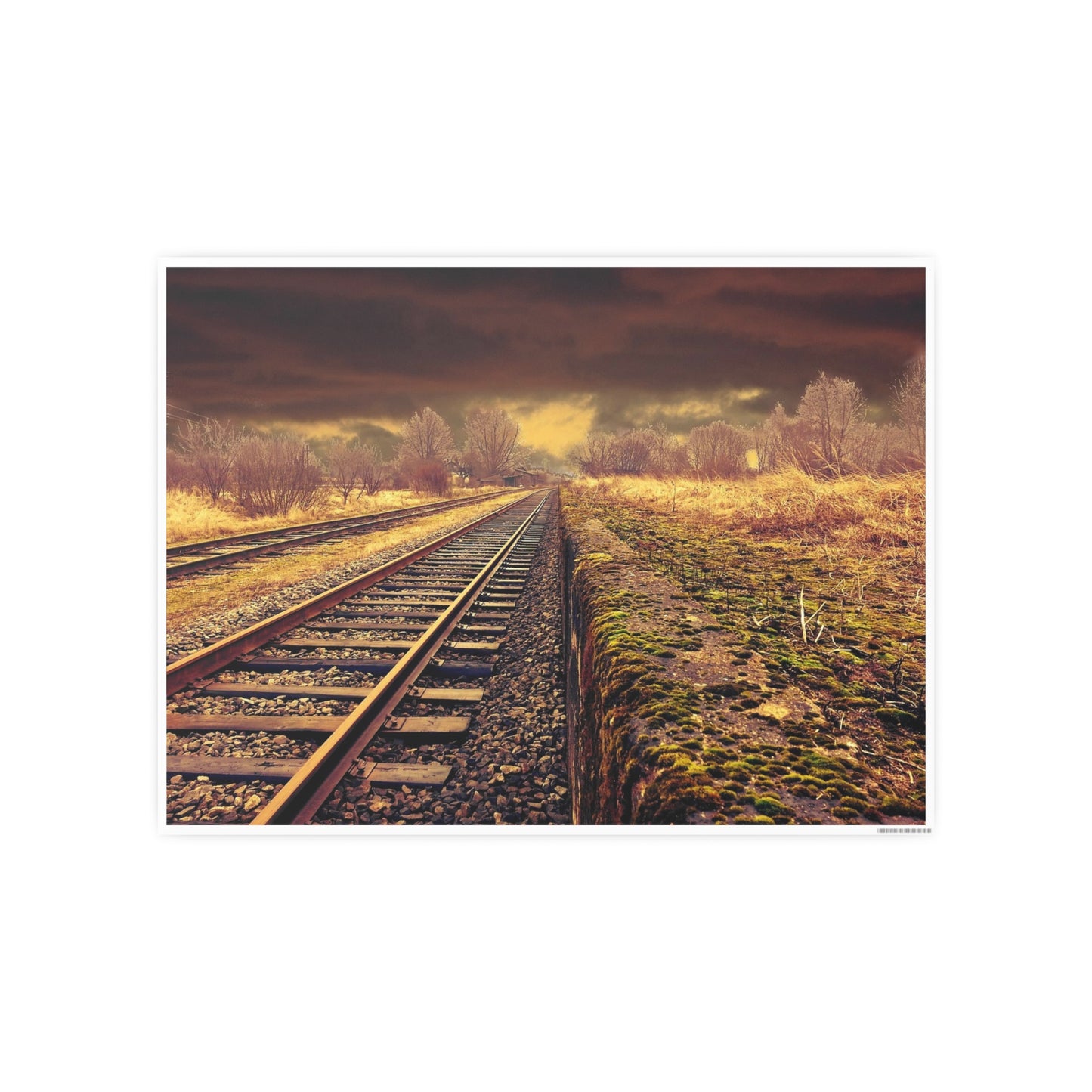 Tracks Photo Art Paper Posters