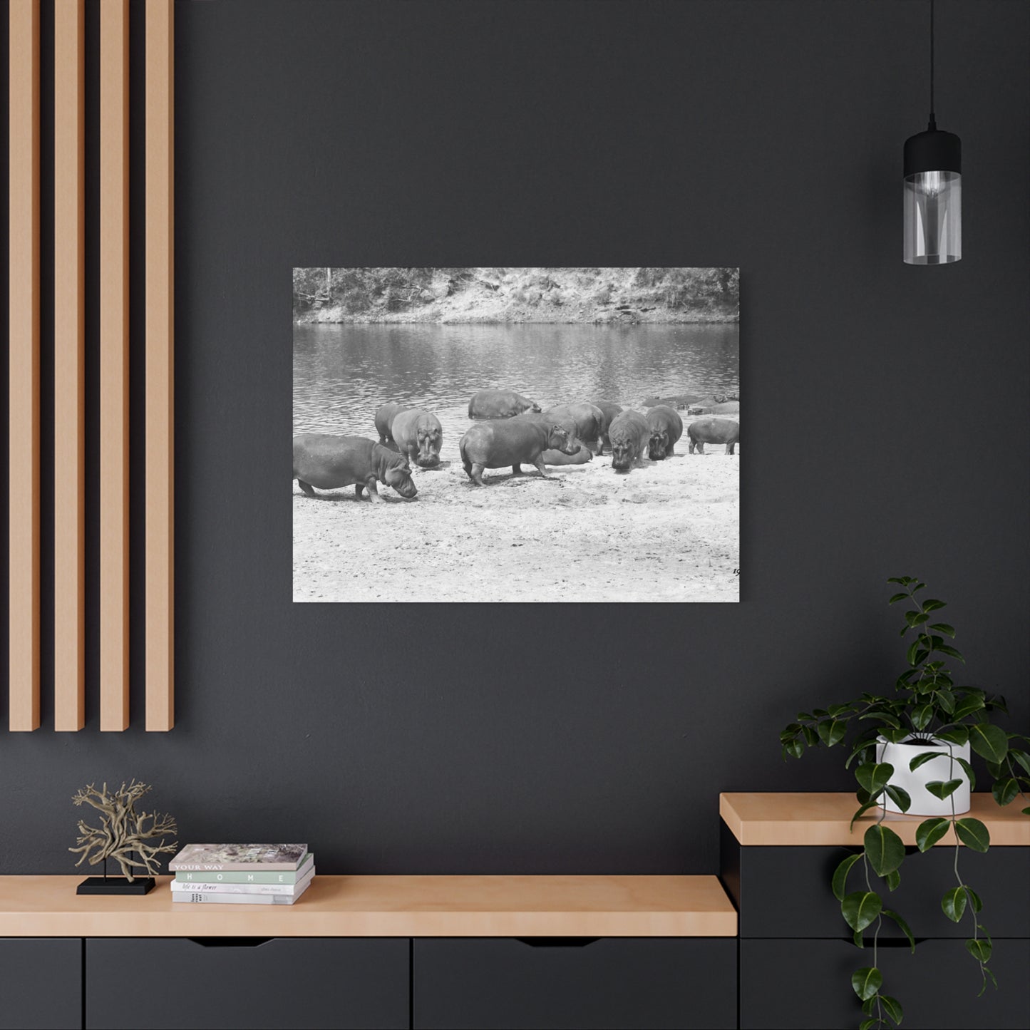 Hippopotamus Matte Canvas, Stretched, 1.25"