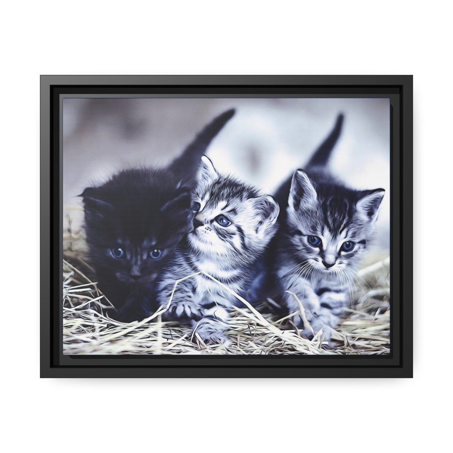 Kitten Matte Canvas, Black Frame