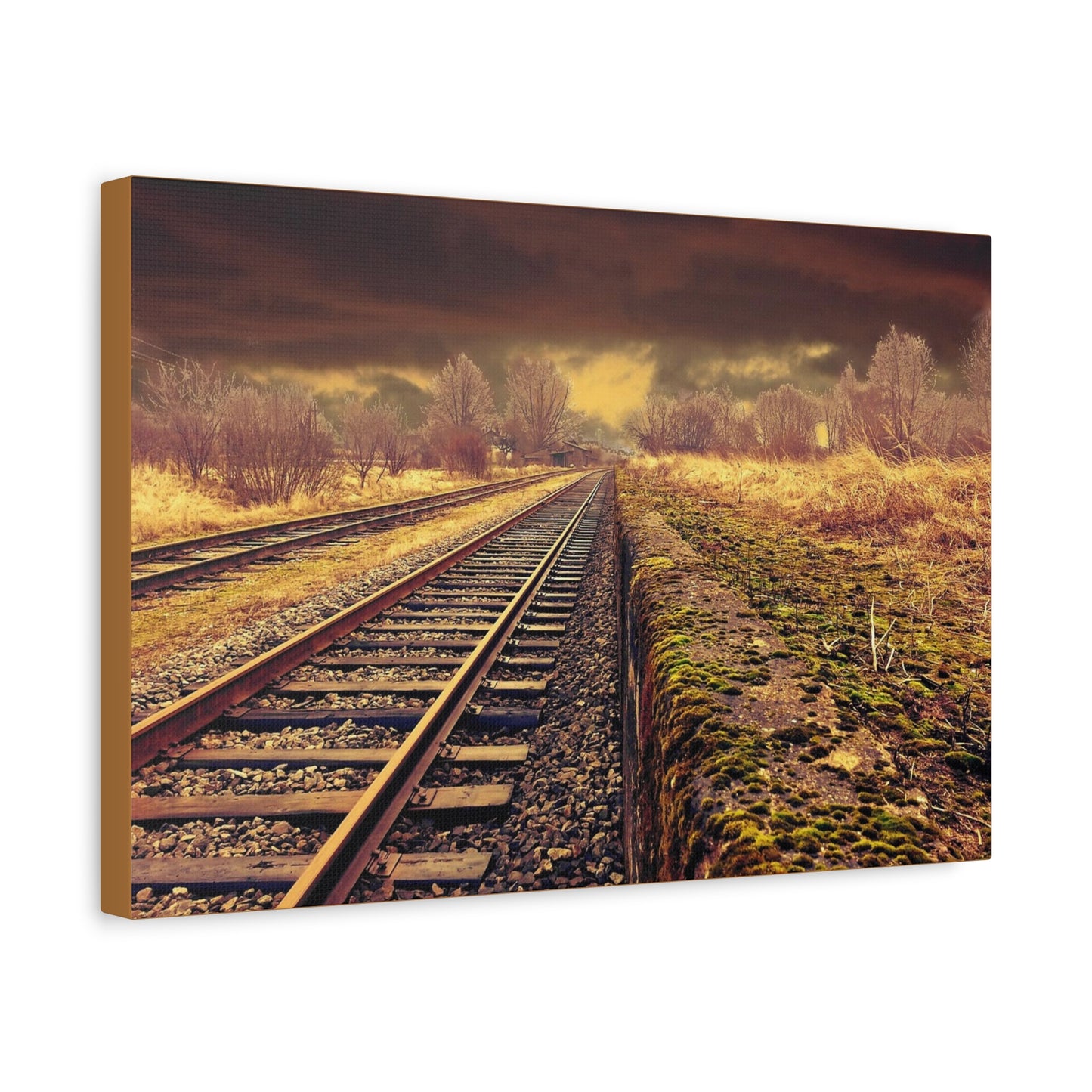 Tracks Matte Canvas, Stretched, 1.25"