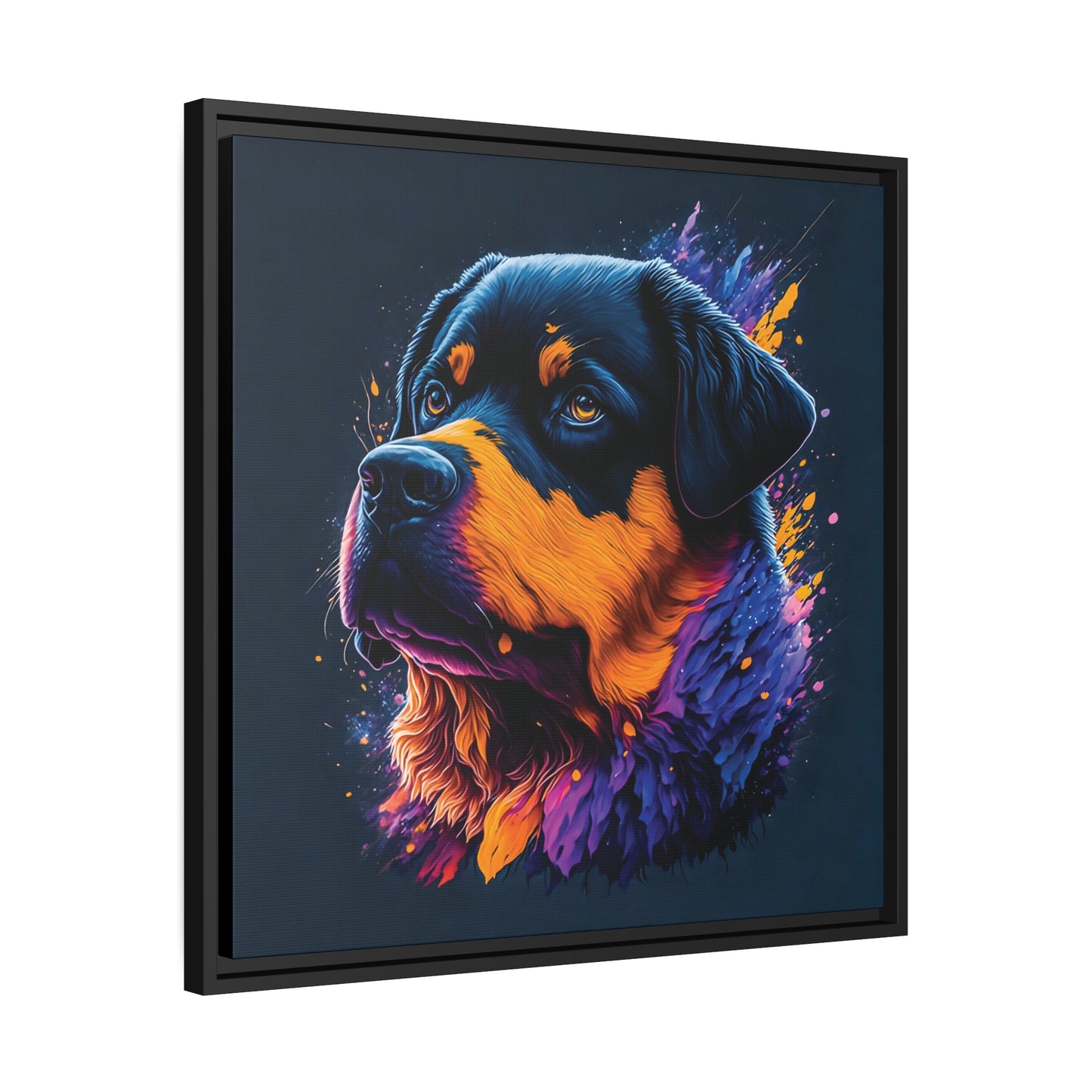 Rottweiler Matte Canvas, Black Frame
