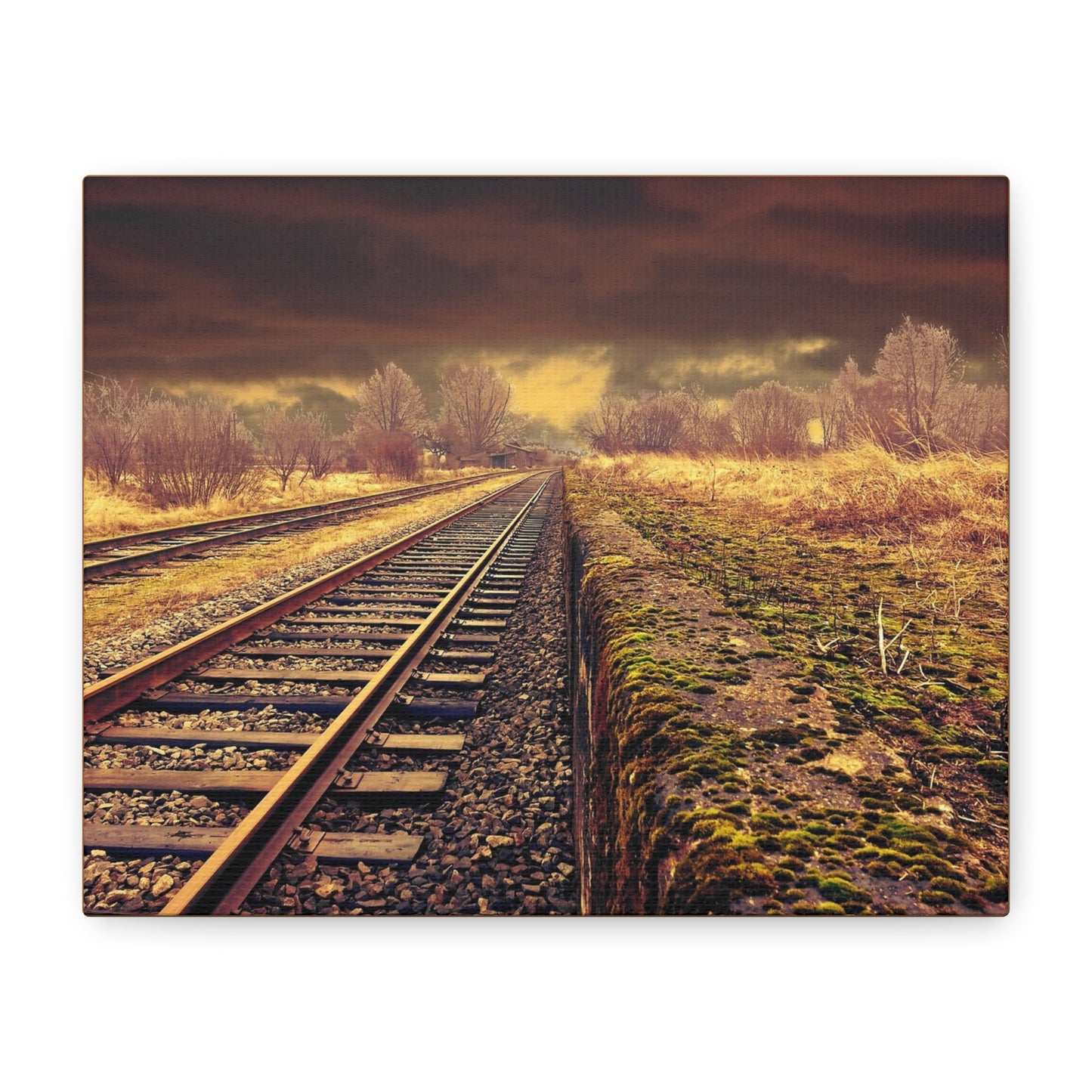 Tracks Matte Canvas, Stretched, 1.25"