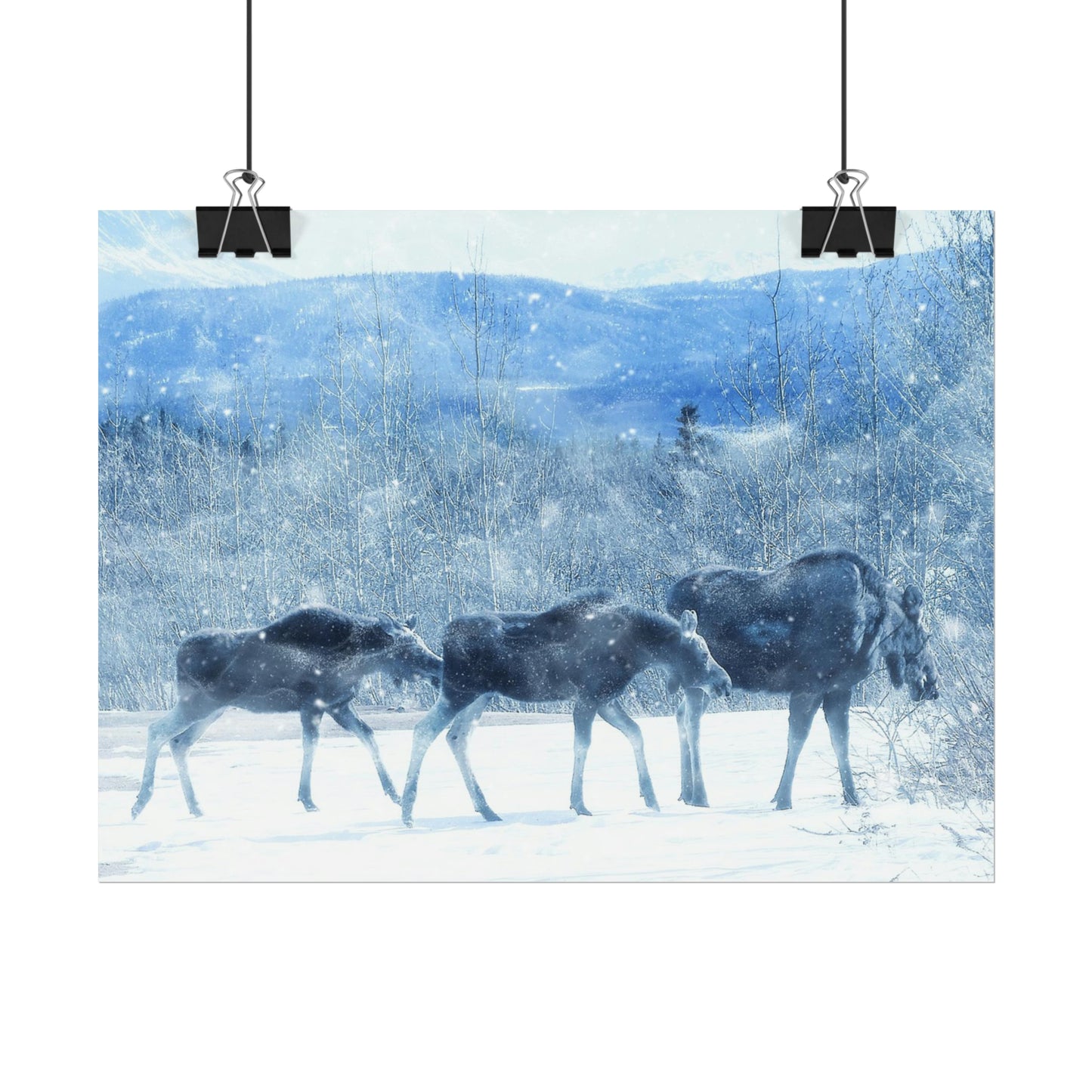 Moose Rolled Posters