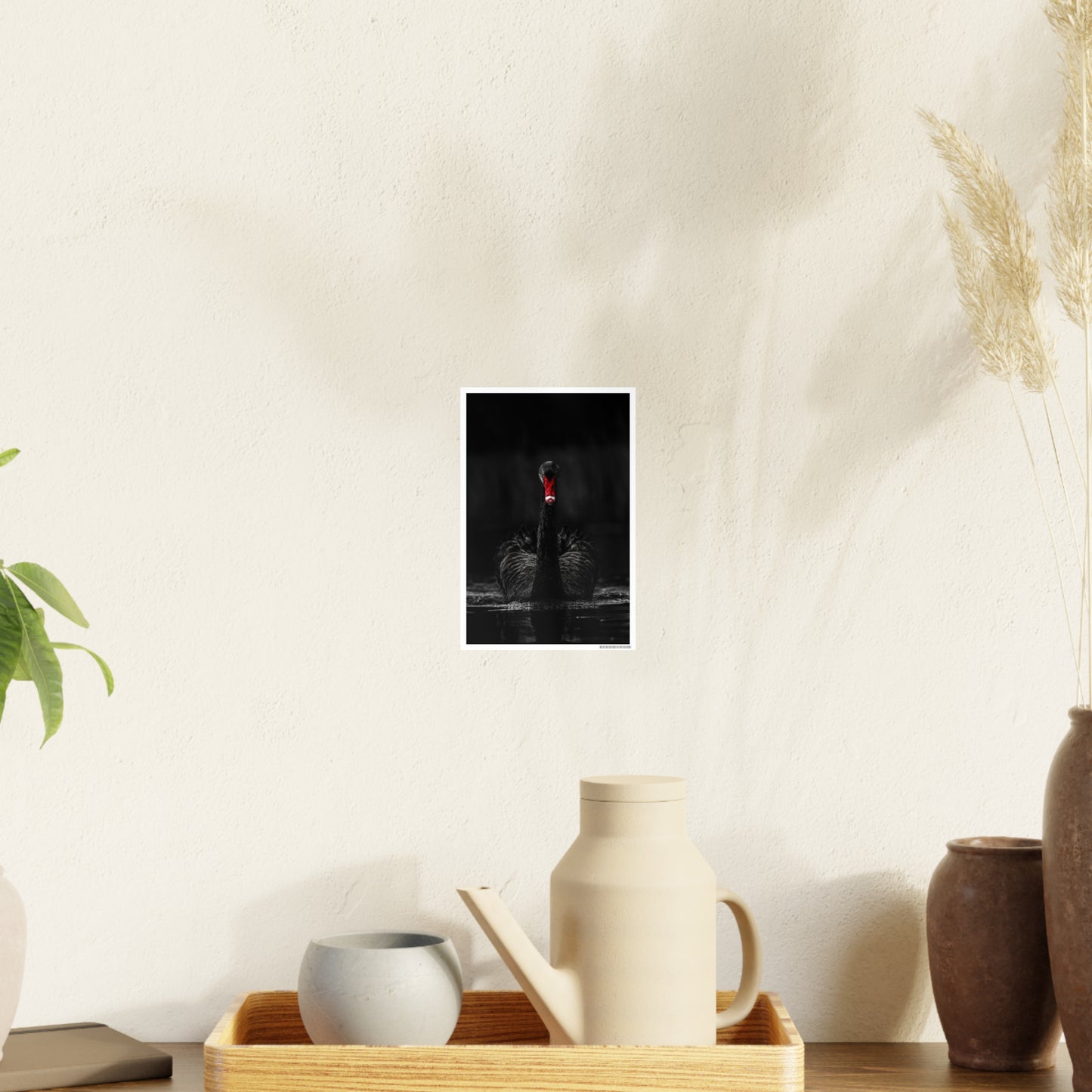 Black Swan Photo Art Paper Posters