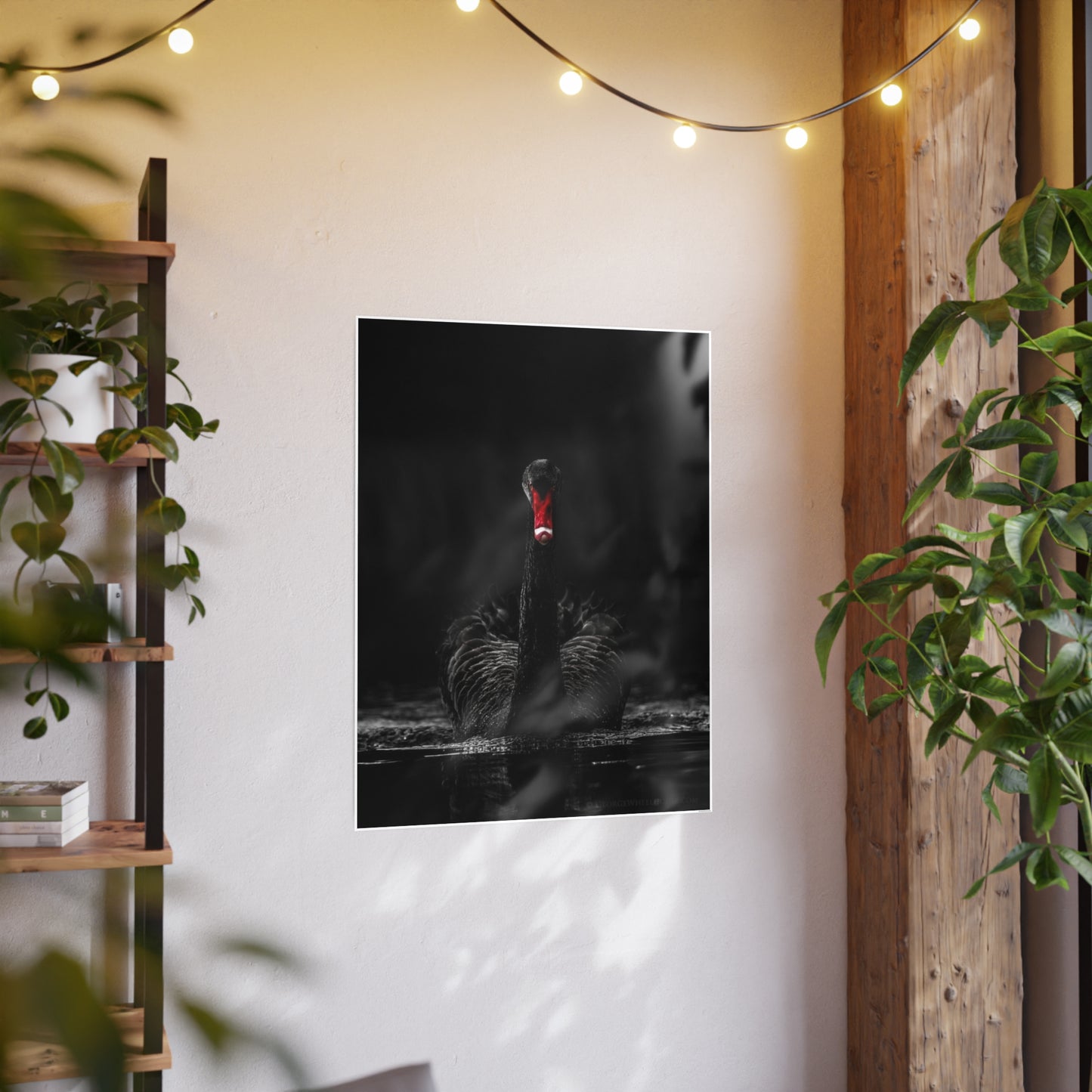 Black Swan Photo Art Paper Posters