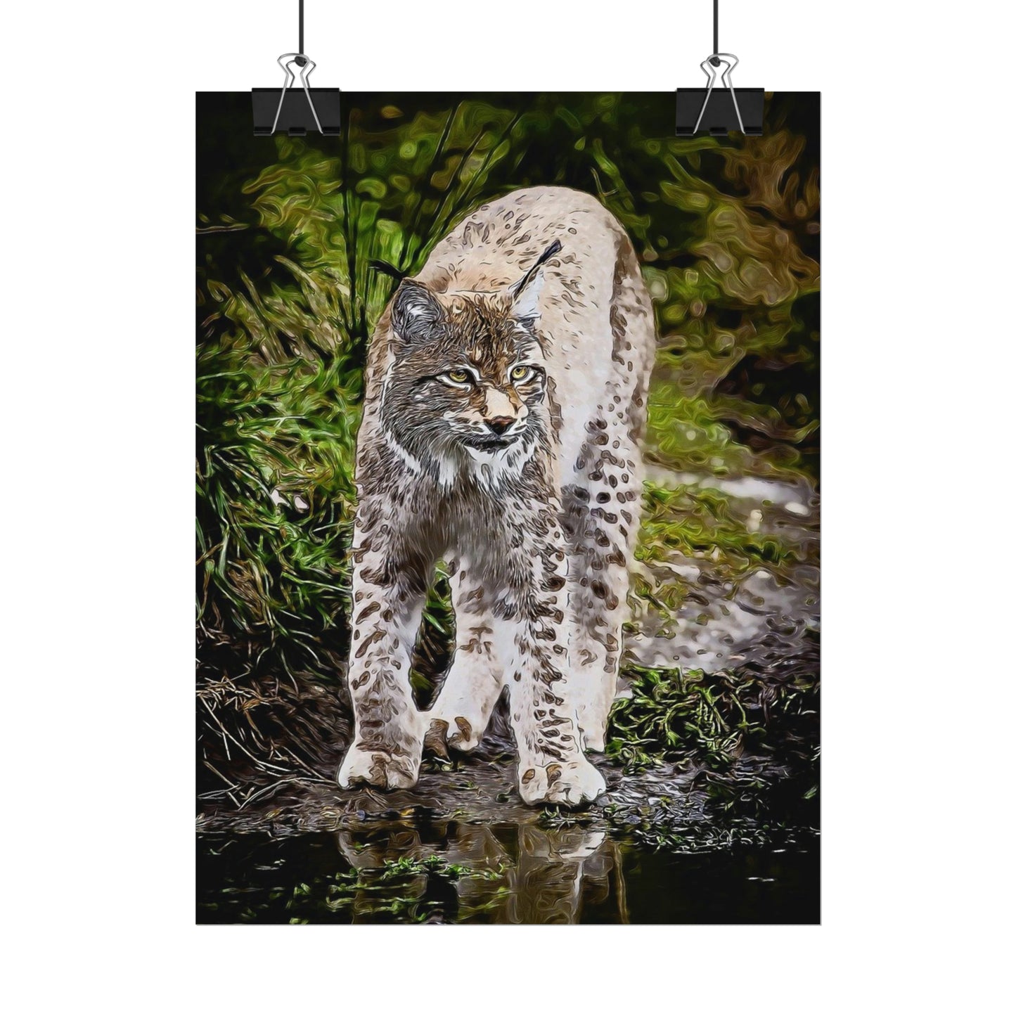 Bobcat Rolled Posters