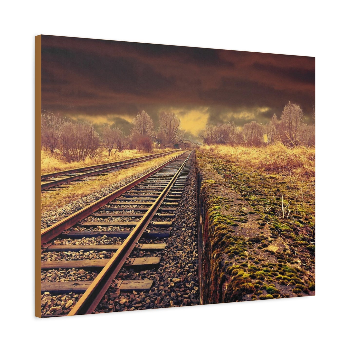 Tracks Matte Canvas, Stretched, 1.25"