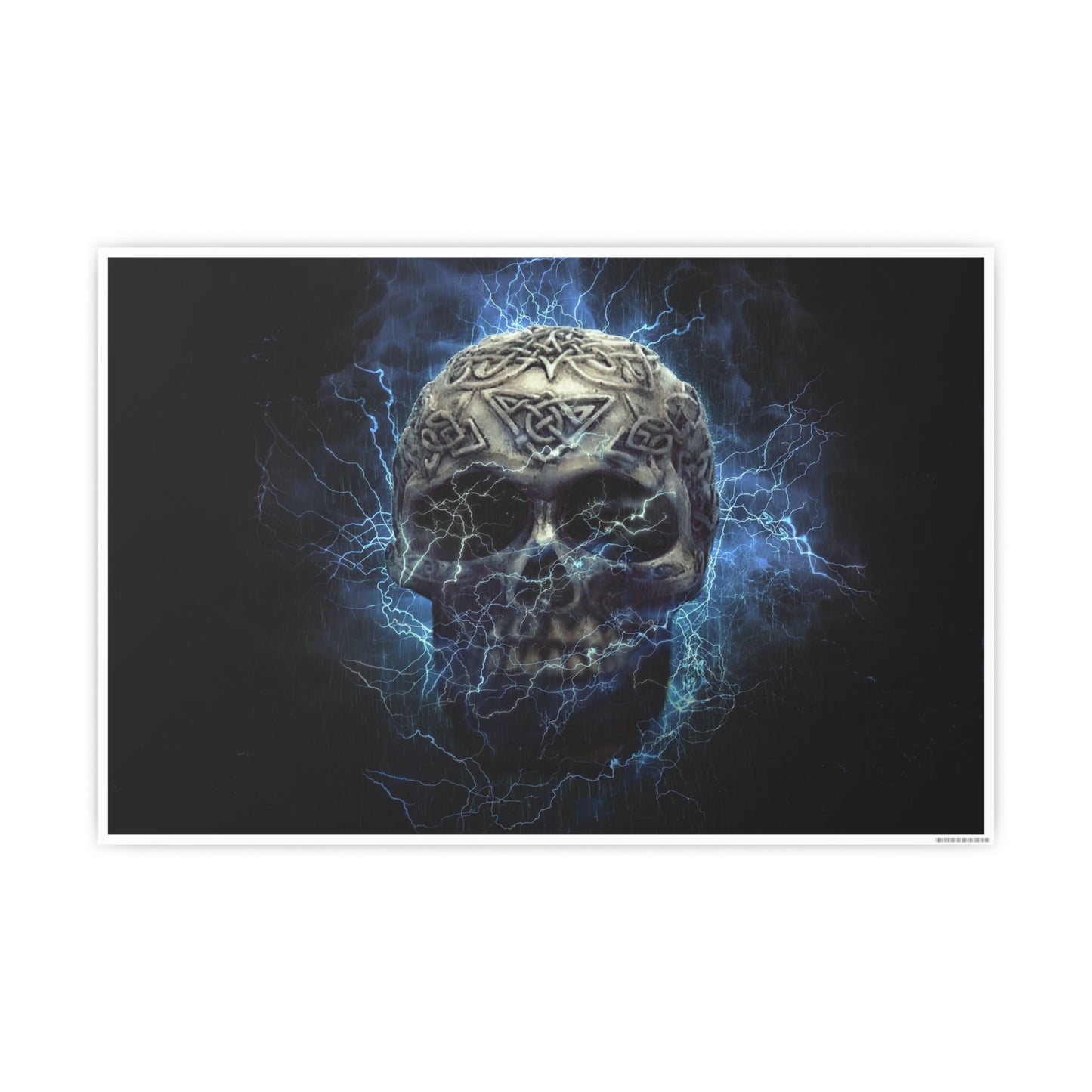 Skull Photo Art Paper Posters